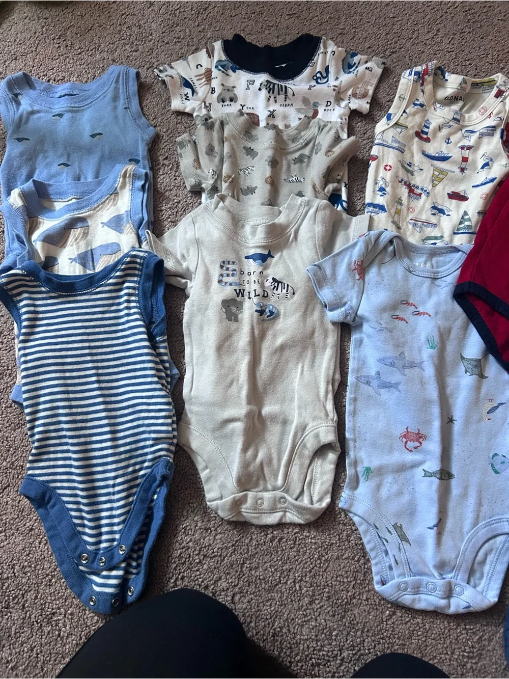 3-6 month boys bundle